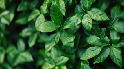 Innovative green marketing strategies increase brand visibility.