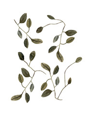 Set of simple green leaves, twigs, branches. Watercolor hand drawn isolated illustrations. Clipart botanical elements. 