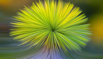 Obraz premium Abstract vibrant green and yellow plant burst, radiating lines, nature background, artistic image, dynamic energy.