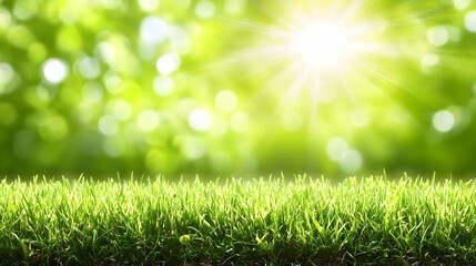 Obraz premium Vibrant green grass in the foreground with a bright, sunny bokeh background, ideal for spring or summer themes.