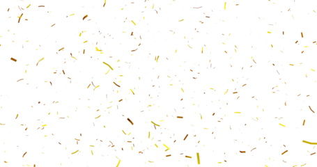 Colorful Confetti against a White Background Tranparent BG Confeti