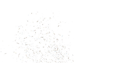 Colorful Confetti against a White Background Tranparent BG Confeti