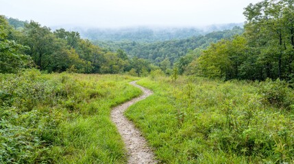 Winding path through misty valley landscape. Possible use nature, scenic, outdoor, travel photography