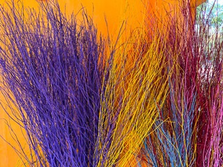 Colorful Dry Broom Weed On Bright Orange Wall Background At Mukdahan, Thailand. 08 Nov 2024. A.M.
