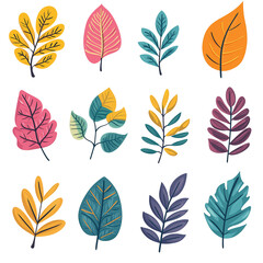 Obraz premium set of leaves