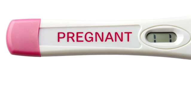 Pregnant Test. PNG. Ai.
