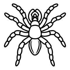 Spider Linework Vector