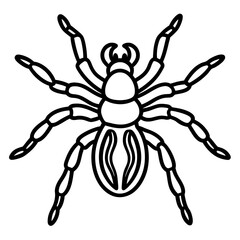 Obraz premium Spider Linework Vector