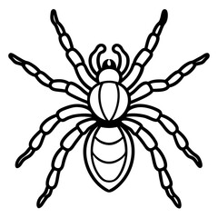 Spider Linework Vector