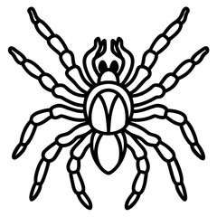 Obraz premium Spider Linework Vector