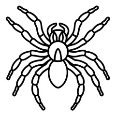 Spider Linework Vector
