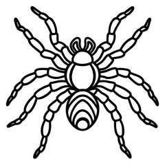 Obraz premium Spider Linework Vector