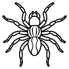 Spider Linework Vector