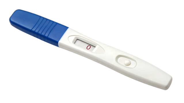 Pregnant Test. PNG.