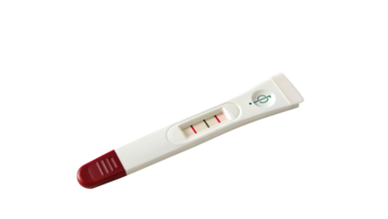 Pregnant Test. 
