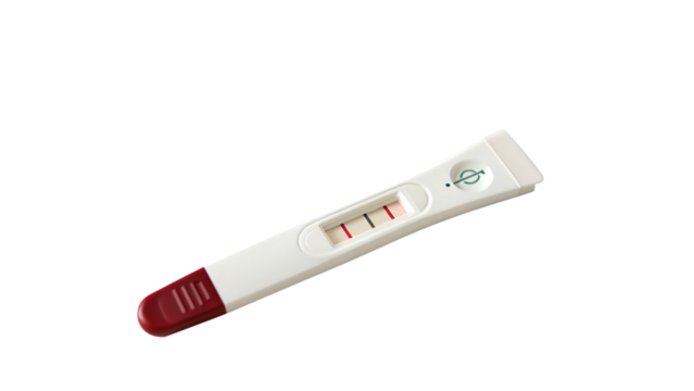 Pregnant Test. 