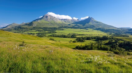 Fototapeta premium Mountain valley summer landscape, clear sky, wildflowers