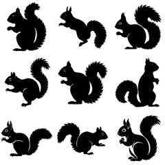 A set of squirrel vector silhouette isolated white background