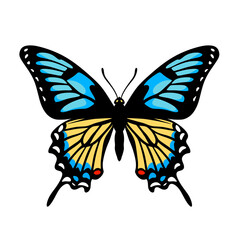 Simple Illustration Of A Butterfly