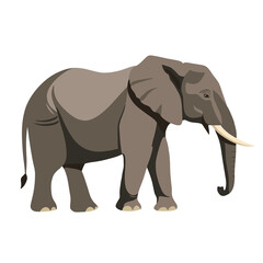 Fototapeta premium Simple Illustration Of An Elephant