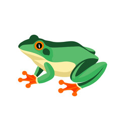 Simple Illustration Of A Frog