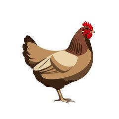 Simple Illustration Of A Hen