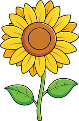 Sunflower flower vector illustration, vibrant botanical design, blooming helianthus, summer floral clipart, nature artwork, decorative plant, garden blossom.