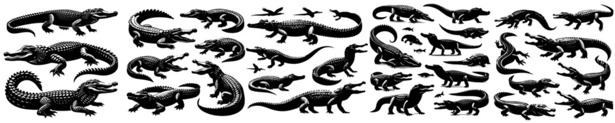 Vector, isolated black silhouette of a crocodile, collection, black and white color