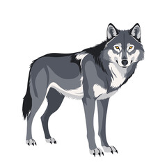 Simple Illustration Of A Wolf