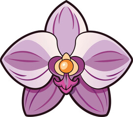 Orchid flower vector illustration, elegant and detailed orchid blossom, tropical floral design, vibrant orchid petals, exotic flower art, botanical artwork, nature illustration.