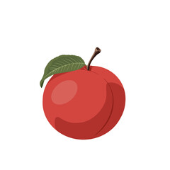 Illustration Of A Nectarine