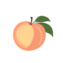 Illustration Of A Peach