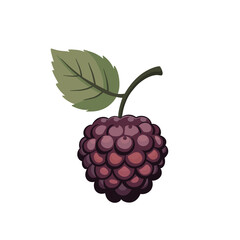 Illustration Of A Youngberry