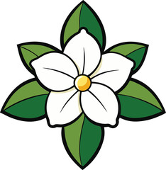 Fototapeta premium Jasmine flower vector illustration, delicate white jasmine blooms, floral clipart, botanical art, spring flowers, fragrant jasmine design, nature-inspired, elegant floral.