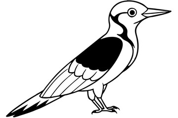Stylized Woodpecker Linework