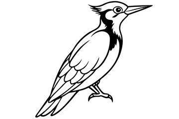 Stylized Woodpecker Linework