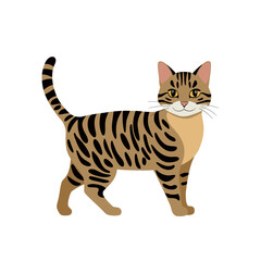 Illustration Of A Striped Cat