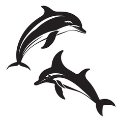 dolphin isolated on white background