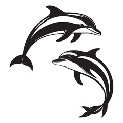 dolphin vector illustration