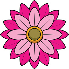 Cineraria flower vector illustration, vibrant colors, detailed botanical design, isolated on white, nature-inspired artwork, perfect for decoration, spring and garden themes.