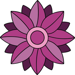 Cineraria flower vector illustration, vibrant colors, detailed botanical design, isolated on white, nature-inspired artwork, perfect for decoration, spring and garden themes.