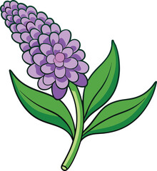 Butterfly bush flower vector illustration, detailed botanical floral art, vibrant buddleia blooms, nature-inspired decorative design for patterns, prints, and backgrounds.