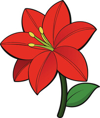 Amaryllis flower vector illustration with elegant petals and botanical details, perfect for floral art, wedding invitations, nature designs, prints, and digital projects.