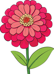 Zinnia flower vector illustration with vibrant petals, perfect for floral designs, botanical prints, garden decor, nature-inspired artwork, invitations, and patterns.