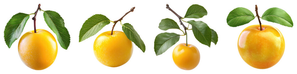 Ripe yellow plum with green leaves isolated on transparent background, PNG, Set of