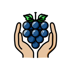 Holding black grapes with a white background, Design Vector Icon Illustration