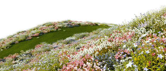3D render of a walkway on a hill with a field of colorful flowers. On a transparent background
