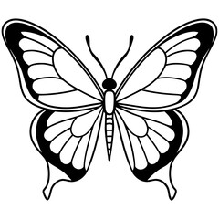 Graceful Butterfly Vector