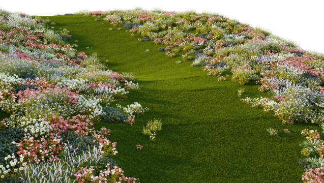 3D render of a walkway on a hill with a field of colorful flowers. On a transparent background