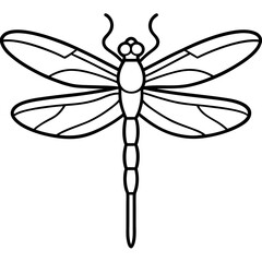 Graceful Dragonfly Illustration